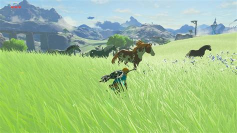 5 Steps To Tame Horses In The Legend Of Zelda Breath Of The Wild
