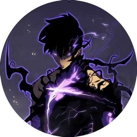 Solo Leveling Pfp Collectionanime Edition