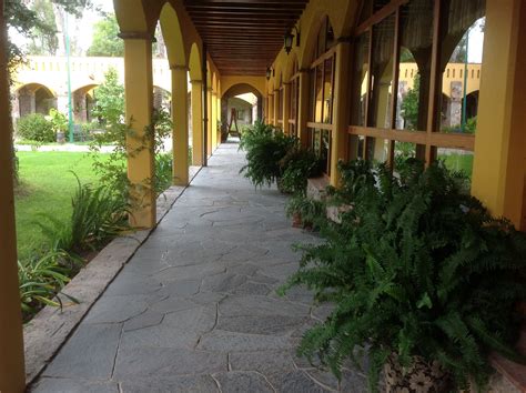 The Walkway Is Lined With Potted Plants