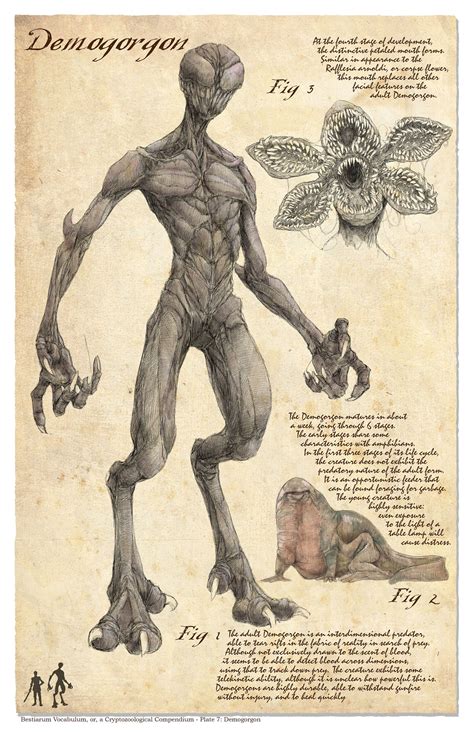 Plate 7 Demogorgon In 2020 Mythical Creatures Art Demogorgon