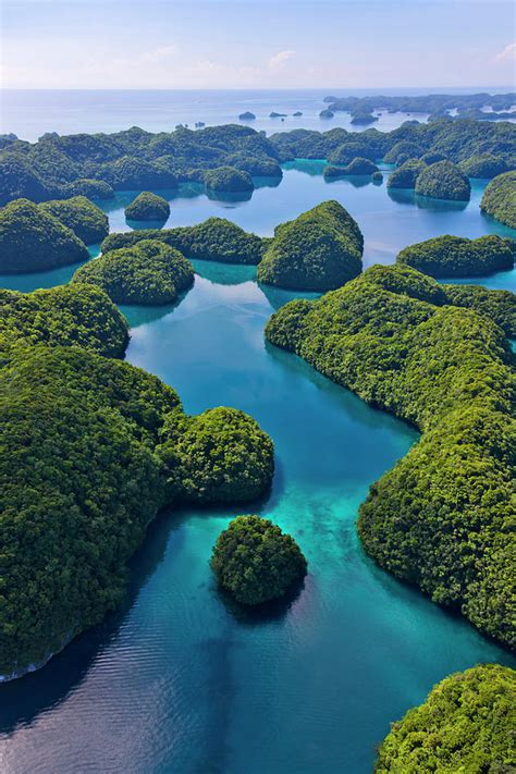 Aerial View Of Rock Islands Palau By Danita Delimont