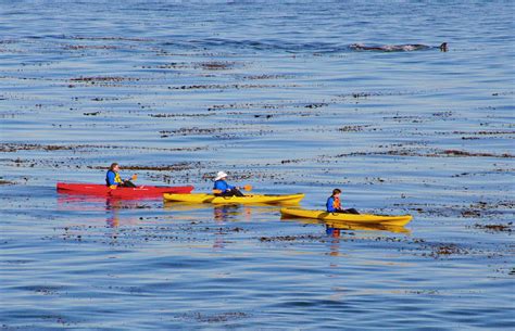 Looking for the lowest price? Discover The Best Places To Kayak in San Diego, California ...