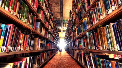 Wallpaper Library Many Books Path 1920x1080 Full Hd 2k Picture Image