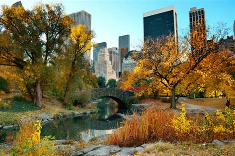 The 10 Best Spots For Urban Leaf Peeping