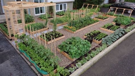 Beautiful Modern Vegetable Island Garden In The Front Yardpng