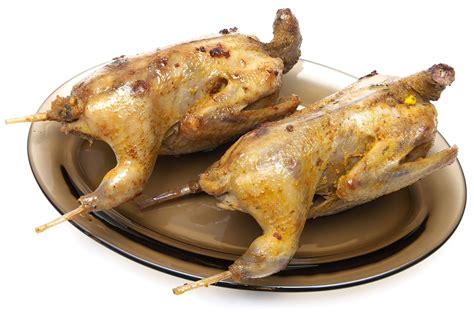 Tout sur la bécasse la cuisiner la conserver