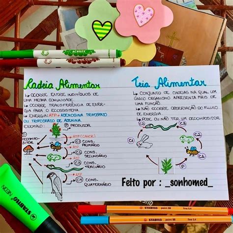 Cadeia E Teia Alimentar Mapa Mental