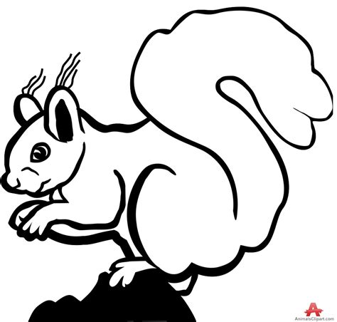 Squirrel Black And White Squirrel Outline Drawing In Black And White