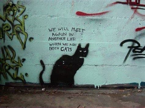 Best Graffiti Street Art Graffiti Banksy Crazy Cat Lady Crazy Cats