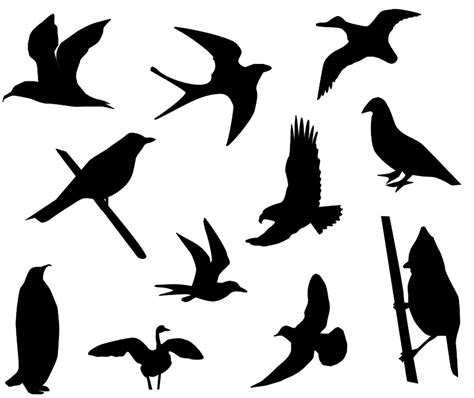 Birds Silhouette 101075 Free Svg Download 4 Vector