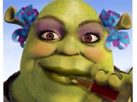 Shrek Meme Face Vobss