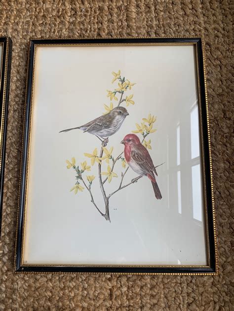 Framed Vintage Bird Prints By A Marlin Etsy