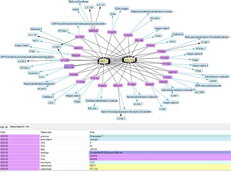 The Initial Semantic Knowledge Base Used For The Semantic Enrichment Of