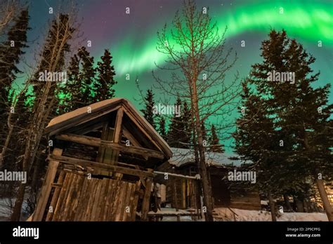 Incredible Northern Lights Aurora Borealis Seen In Carcross Yukon