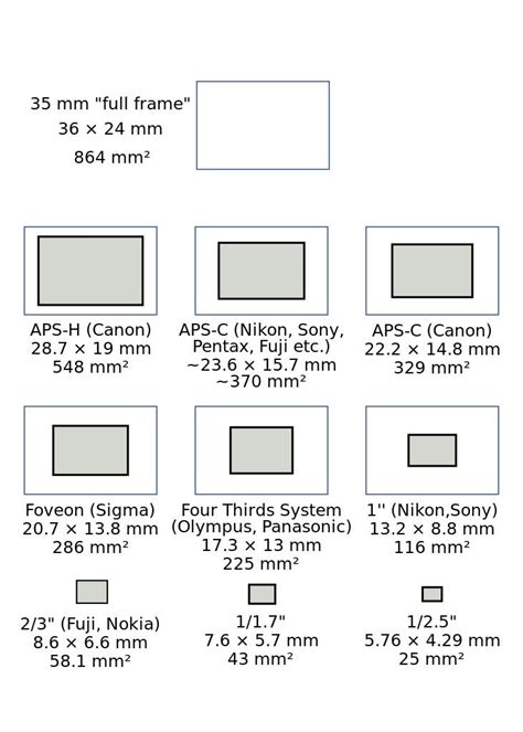 Faq What Are The Different Camera Sensor Sizes Adorama