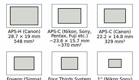 FAQ: What are the Different Camera Sensor Sizes? - ALC