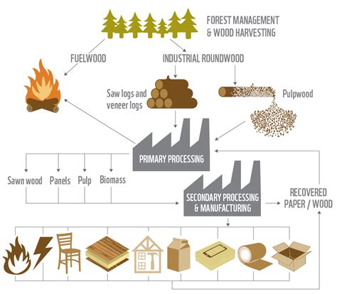 Forest Based Industries Products