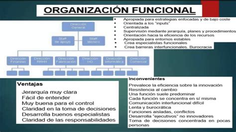 Organigrama Funcional Que Es Un Organigrama De Funciones Images