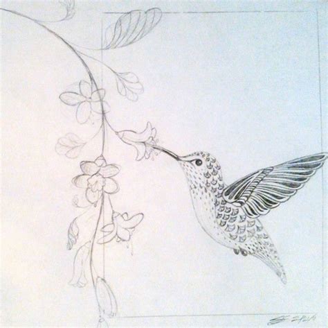 Pin By Shelly Fearno Waterman On Hummingbirdbutterfly Bird Drawings