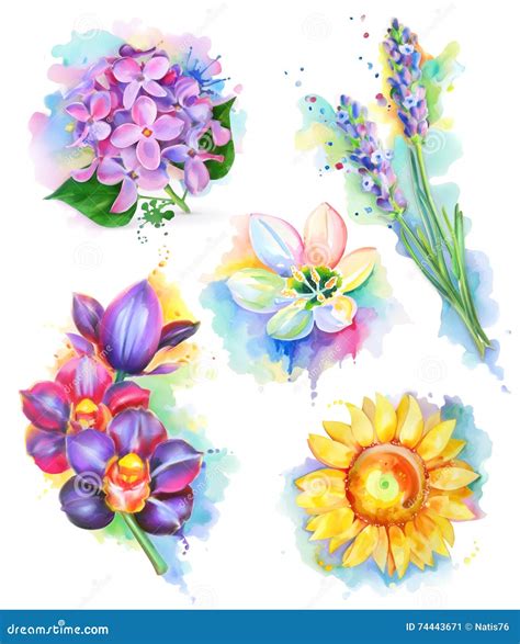 Beautiful Flowers Watercolor Painting Stock Illustration