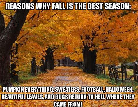 25 Funny Af Fall Memes Wow Gallery Ebaums World