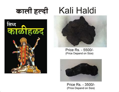 Curcuma Caesia Black Kali Haldi At Rs 5500 Packet In Shrirampur ID