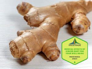 Example Of Medical Effects Of Ginger Root 8 Proven Effects Krostrade UK