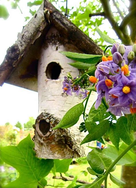 a birdhouse with purple flowers growing out of it s roof and in the tree