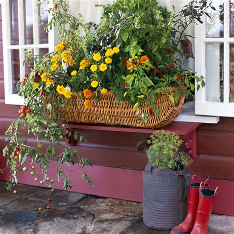Flowering Window Box Ideas That Work For Sunny Gardens Window Box