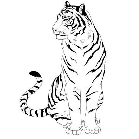 3021 Views Tiger Drawing Tiger Art Tiger Tattoo