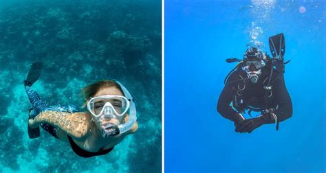 Snorkeling Vs Scuba Diving What S The Difference Wild Hearted