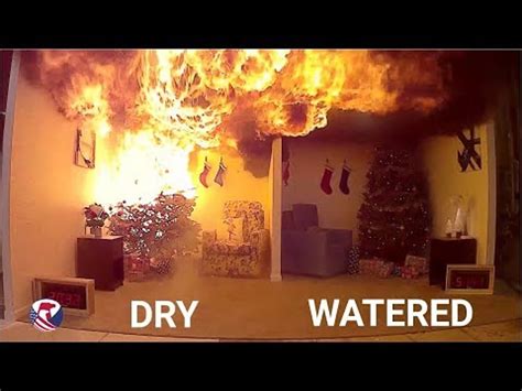 Watch How Fast A Christmas Tree Can Become A Fireball