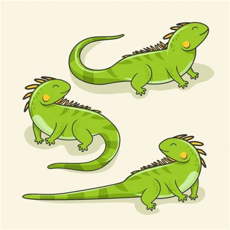 Premium Vector Iguana Cartoon Cute Lizard Animal Reptile Set Cute