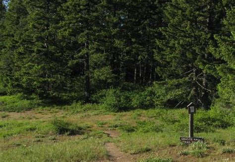 Grassy Knoll Trailhead Hiking In Portland Oregon And Washington