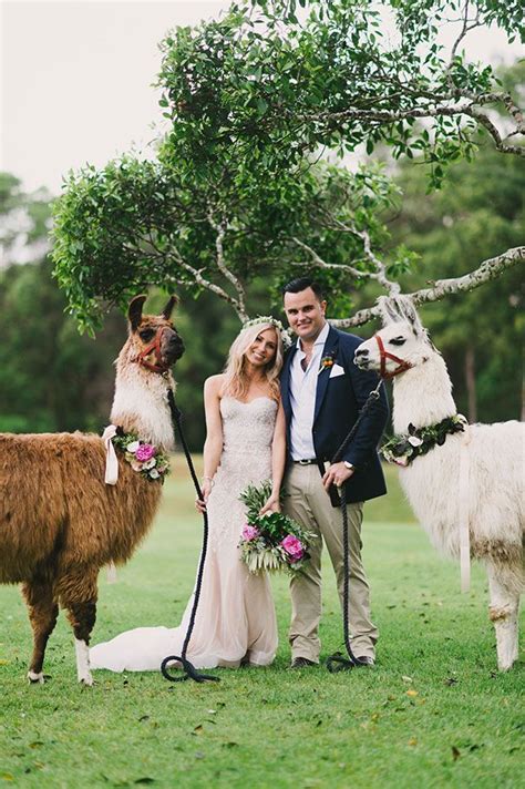 We did not find results for: LOVESTRUCK WEDDINGS // Penny + Chris // Yandina Station. As seen on Hello May. Photo by Jess ...
