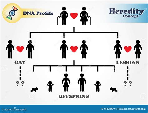 Hereditary Diagram Genetic Stock Vector Illustration Of Diagram