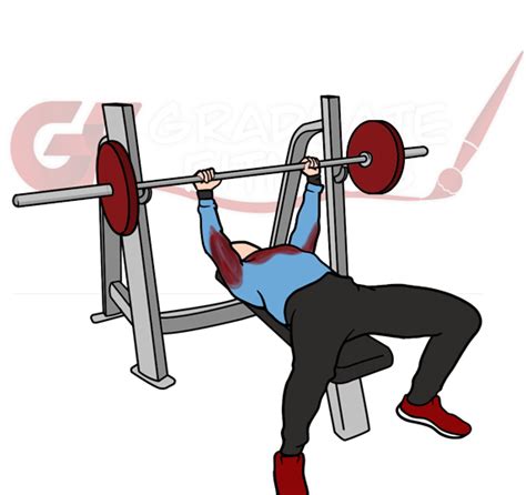 Learn How To Bench Press In 3 Simple Steps Graduate Fitness