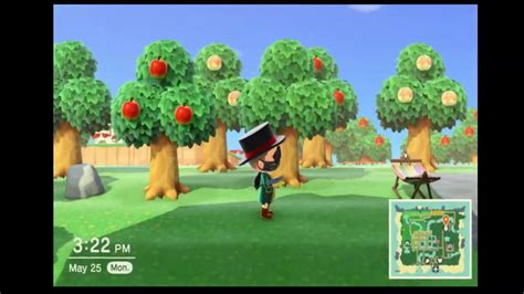 Animal Crossing New Horizons Game Play 
