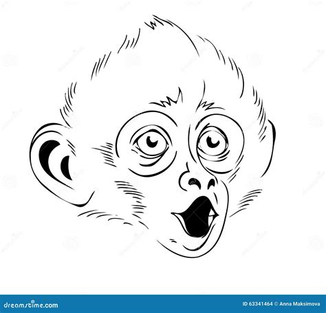 Testa Della Scimmia Illustrazione Di Vettore Illustrazione Vettoriale
