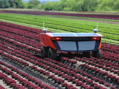 5 Benefits Of Using Robots Than Humans In Agriculture