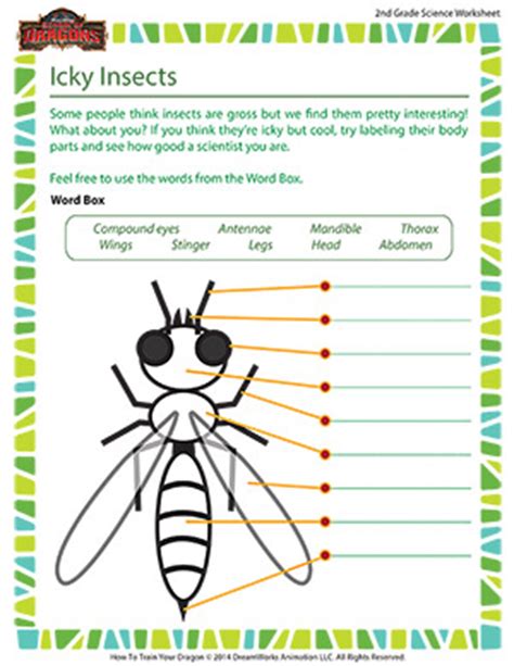 The things that we need to do for our kids to know much about our. Icky Insects - 2nd Grade Kids Online Science Worksheets - SoD