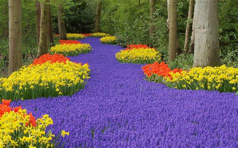Frances perry, author of simon & schuster's guide to plants and flowers, on librarything. أجمل الحدائق النباتية في العالم - فكر وفن - الصفحة الأخيرة ...