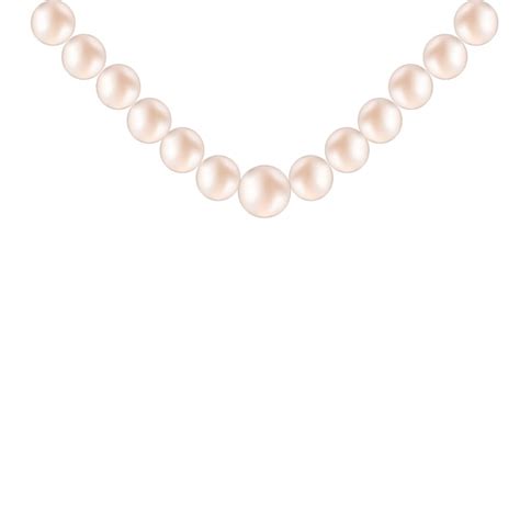 Premium Vector Pearl Necklace Isolated Illustration Vector Vector