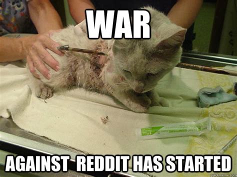 War Against Reddit Has Started Cat War Quickmeme
