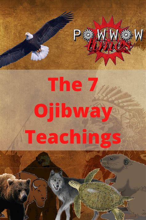 The 7 Ojibway Teachings Indigenous Studies Indigenous Education