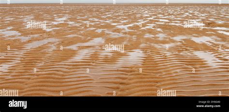 Sand Ripples On A Deserted Beach Stock Photo Alamy