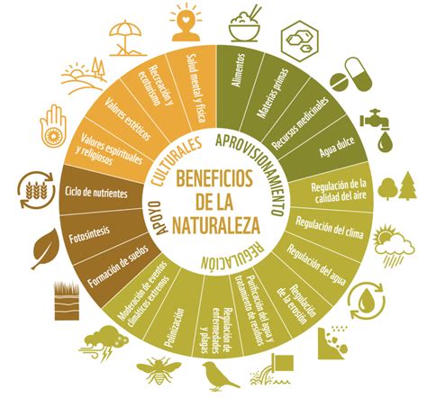 Beneficios Que Obtiene Mexico De Su Biodiversidad Estos Beneficios Images