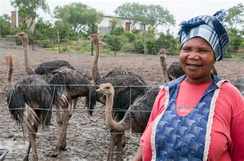 Ostrich Farmer Woman Imb