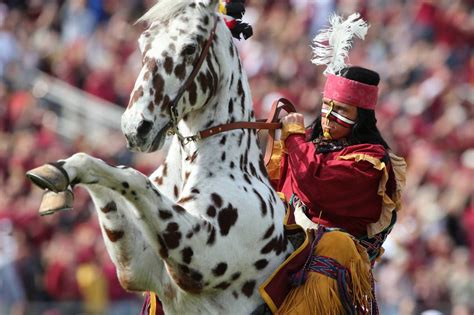 We did not find results for: HOMECOMING 2015 FSU 34 - S.C. STATE 17 | Florida state ...