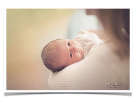 Newborn Baby Girl Makes 5 Newborn Photography Pittsburgh Pittsburgh